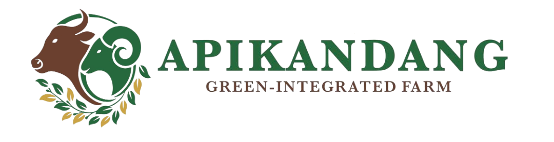 Apikandang Logo